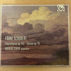 Schubert: Piano Sonata Op.78 D.8...