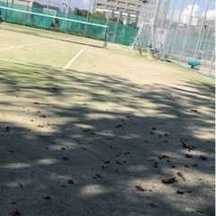 ソフトテニス(宇都宮市)