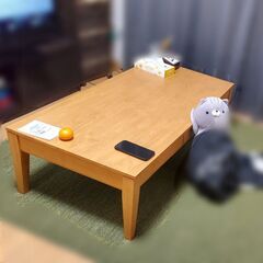 【ネット決済】リビングローテーブル