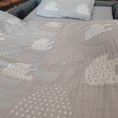 ファルスカ コンパクトベッドフリー