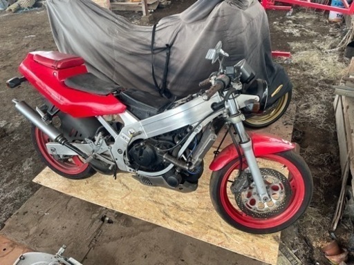 値下げ 希少車 スズキ ウルフ250 2st WOLF250 ガンマ