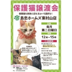 6/11(日)【保護猫譲渡会 in 島忠ホームズ東村山店】