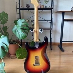 Fernandes FST Burny Custom 美品