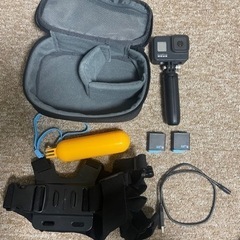 希少エバゴスかごバッグ紅藤鏡付き手提げ天然素材被せハンドル