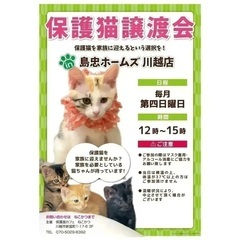 6/25(日)【保護猫譲渡会 in 島忠ホームズ川越店】