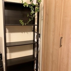 IKEA シェルフ　棚　(その2)