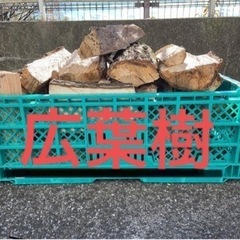 【乾燥】薪 広葉樹 キャンプ 薪ストーブ 皮付き 焚き火 20kg ②