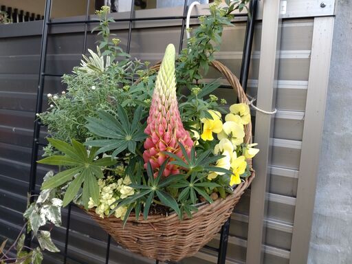お花の寄せ植え