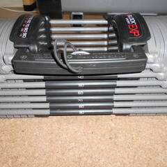 状態良好 POWER BLOCK/パワーブロック SP EXP 90LB 可変式ダンベル2個