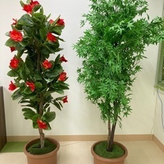値下げ 激安 人工観葉植物40本 Www Drdraperdds Com
