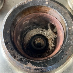 中華レンジ　ドラゴン