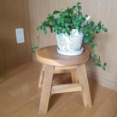 天然木椅子スツールｱﾝﾃｨｰｸｳﾞｨﾝﾃｰｼﾞ観葉植物unico系