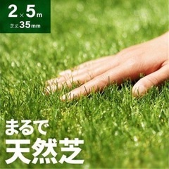 人工芝生　150センチ以上×250センチ以上