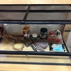 GEX EXOTERRA グラステラリウム 9045 【中古】飼育セット