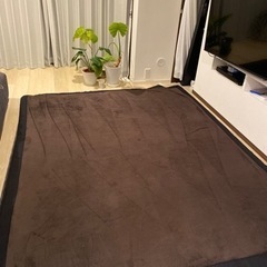 黒　カーペット　3畳　