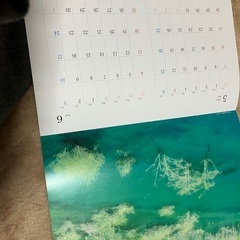 日興証券カレンダー