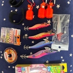 ダイワ エギングセット