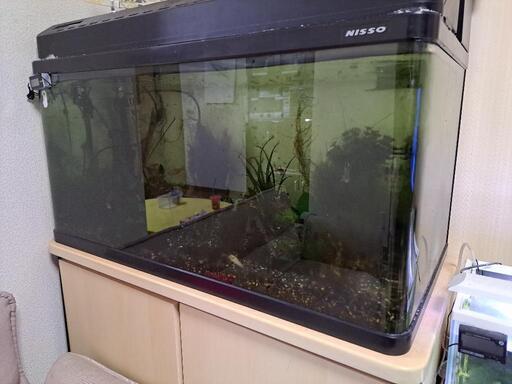 お取引中　NISSO 90cm水槽　熱帯魚　台セット