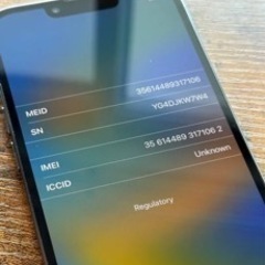 期間限定価格🏅iPhone13Pro 大容量256ギガSIMフリー　美品　超大幅値下げ　美品　