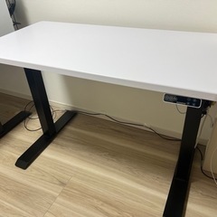 【手渡し限定】FLEXISPOT EJ2 脚のみ Flexispot EJ2 脚のみ