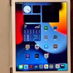 iPad Air2 Wi-Fi モデル 16GB 美品　iPad...