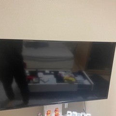 IRIS OHAYAMA テレビ40型