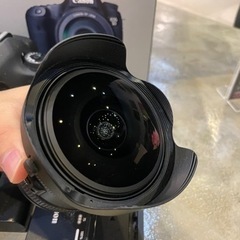 Canon 5Dmark3 とlレンズ魚 フィッシュアイ
