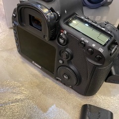 Canon 5Dmark3 とlレンズ魚 フィッシュアイ