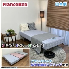 🌟無料🌟フランスベット脚付きマットレスS  2台