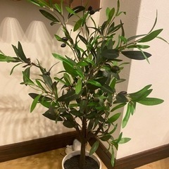 オリーブの木 フェイク植物