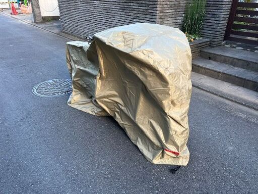 BESV ( ベスビー ) e-バイク CF1 LENA　電動自転