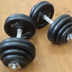 ♪IROTEC/アイロテック ウェイト ダンベル 約60kg♪