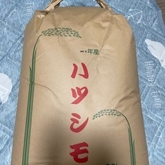 【古米】令和3年度岐阜県産ハツシモ玄米30kg