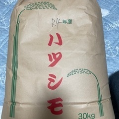 【新米】令和4年度岐阜県産ハツシモ30kg