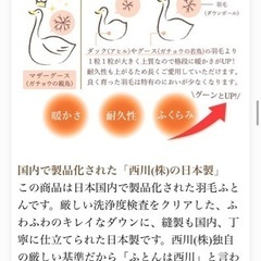 羽毛肌掛け布団 キングサイズ ダウンケット マザーグース 西川
