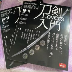 初めての殺陣★新宿★土曜（女性限定） - 新宿区