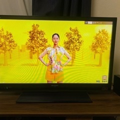 【決まりました】テレビ(32ｲﾝﾁ)+外付けHDD