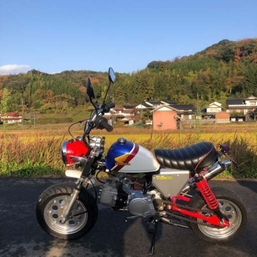 ドリル不要の取り付け オートバイ用ラジエーターガード