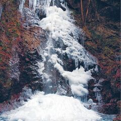 2月11日(土)払沢の滝氷瀑巡りイベント