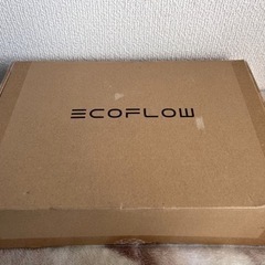 【美品】EcoFlow RIVERシリーズ専用バッグ
