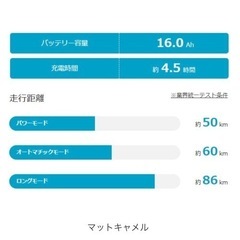 パナソニック[PANASONIC] ギュット・クルームR・DX   20インチ 3人乗り対応 電動自転車