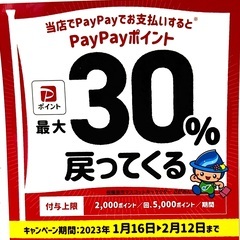 【けんぼの森】PayPayポイント最大30%戻ってくるキャンペー...
