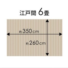 フローリングマット⭐︎行き先決定
