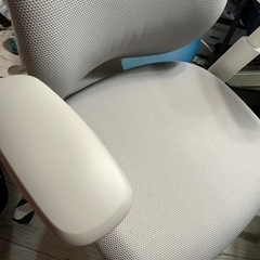 オカムラ シルフィー(Sylphy)