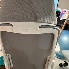 オカムラ シルフィー(Sylphy)