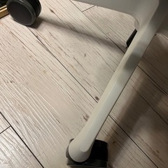 オカムラ シルフィー(Sylphy)