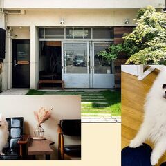 京都のゲストハウスに住んでみませんか？