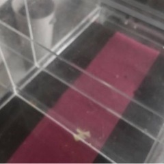 アクリルW900濾過層 [相談中]