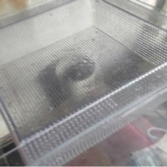 アクリルW900濾過層 [相談中]