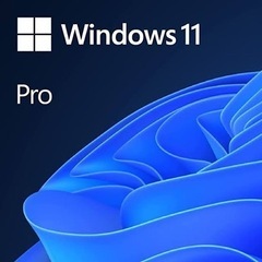 【ネット決済・配送可】Windows 11 Pro プロダクトキー🔑